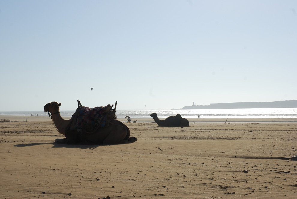 Villa gonatouki Essaouira Maroc